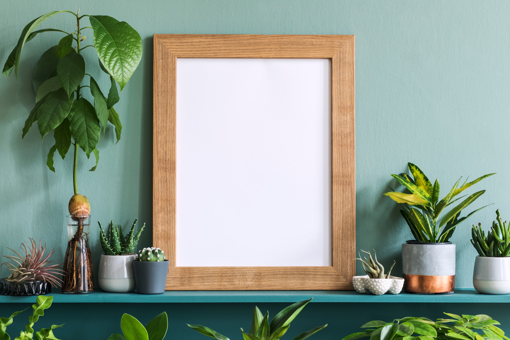Wood-framed empty space against a green wall, surrounded by various plants in pots, depicting a fresh and modern interior decoration.